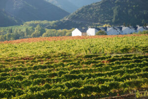 Villafranca-del-Bierzo1