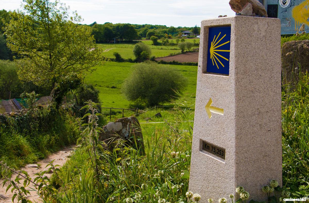 Ligonde - Etapa Portomarín-Palas de Rei - Camino Francés