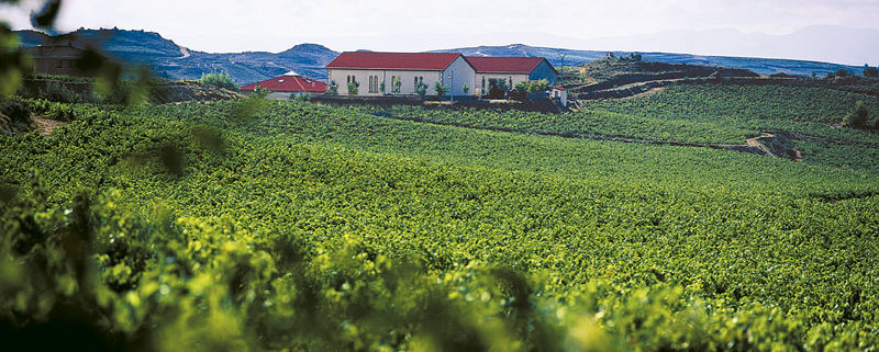 La Rioja Enoturismo en el Camino de Santiago