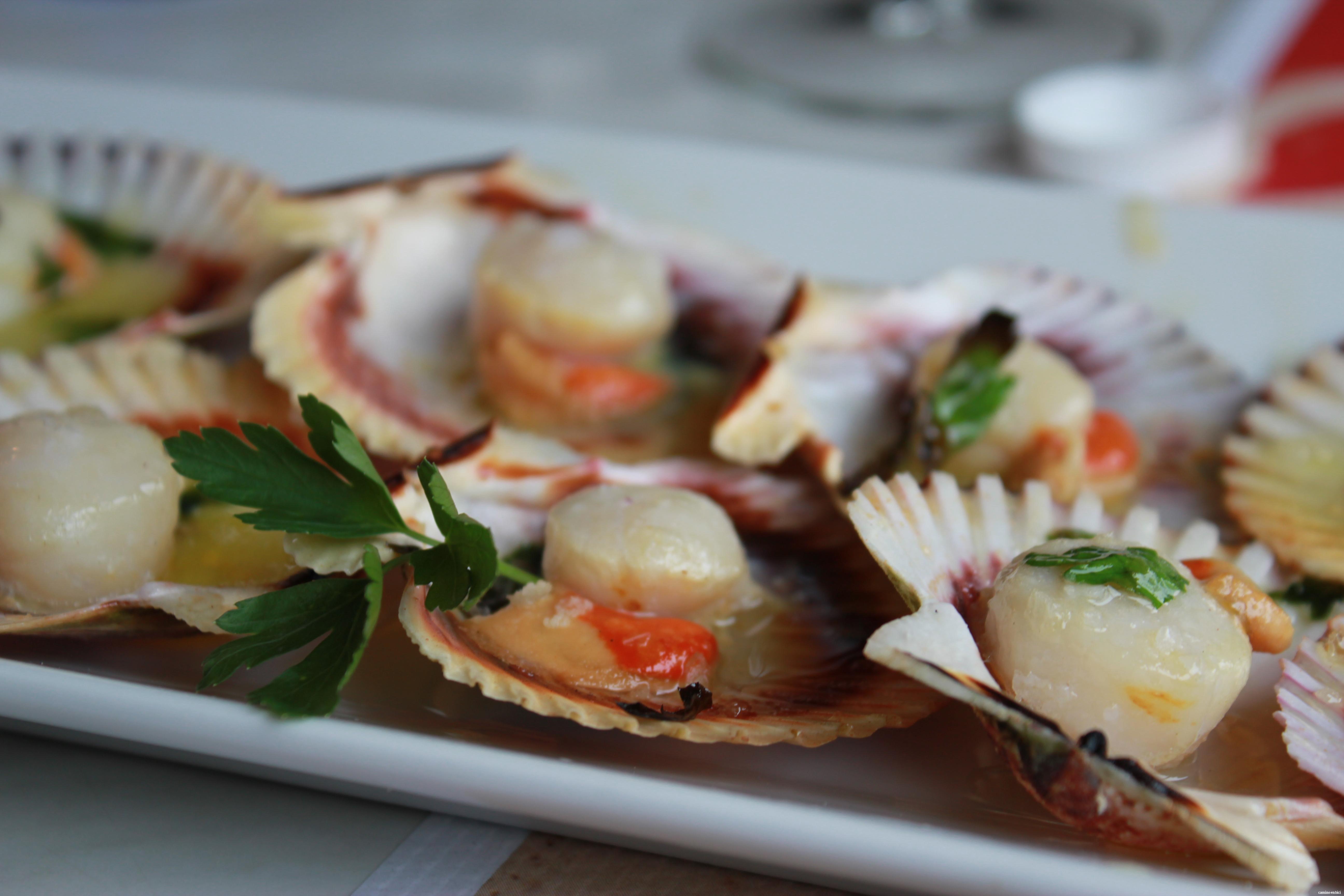 Tapa de Zamburi&ntilde;as