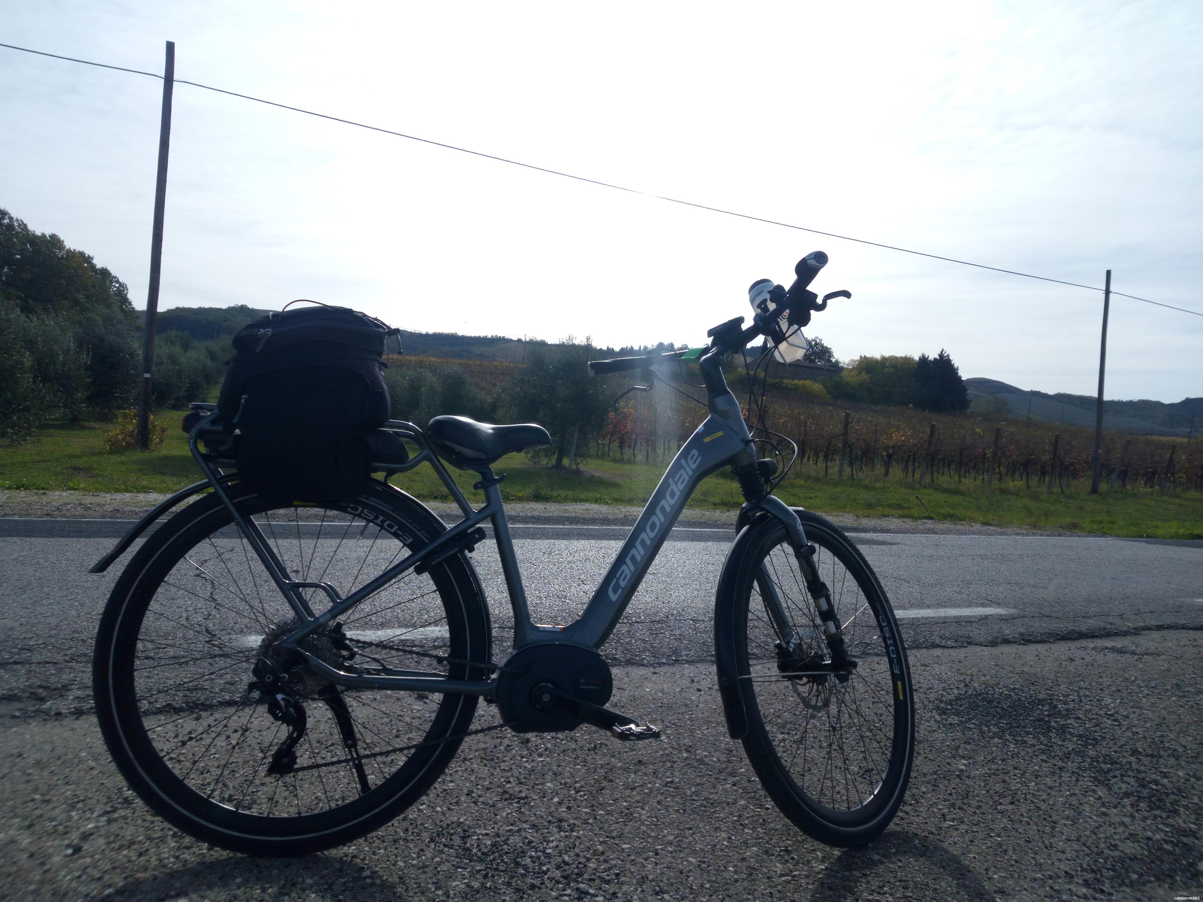 Modelo de ebike con alforjas