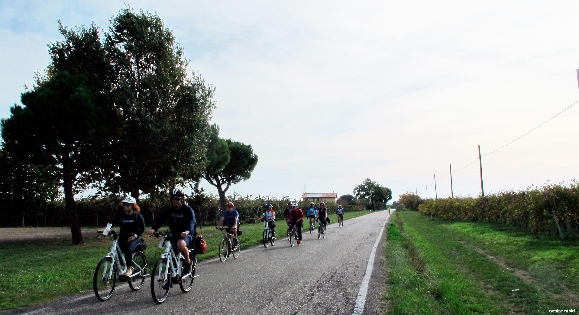 Grupo pedaleando ebikes y bicis sin asistencia