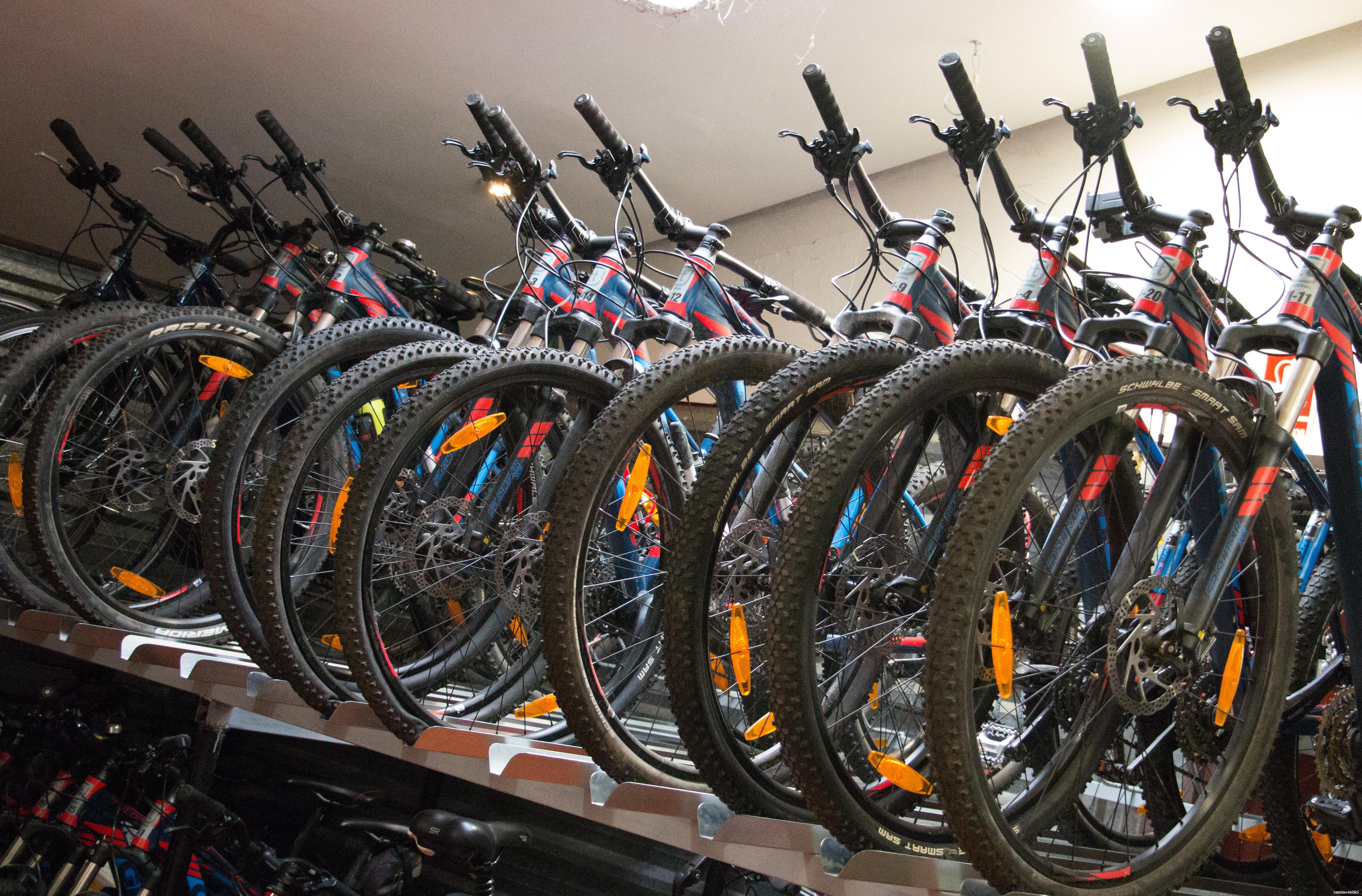 Camino en Bici - Diferentes Modelos de Bicicletas