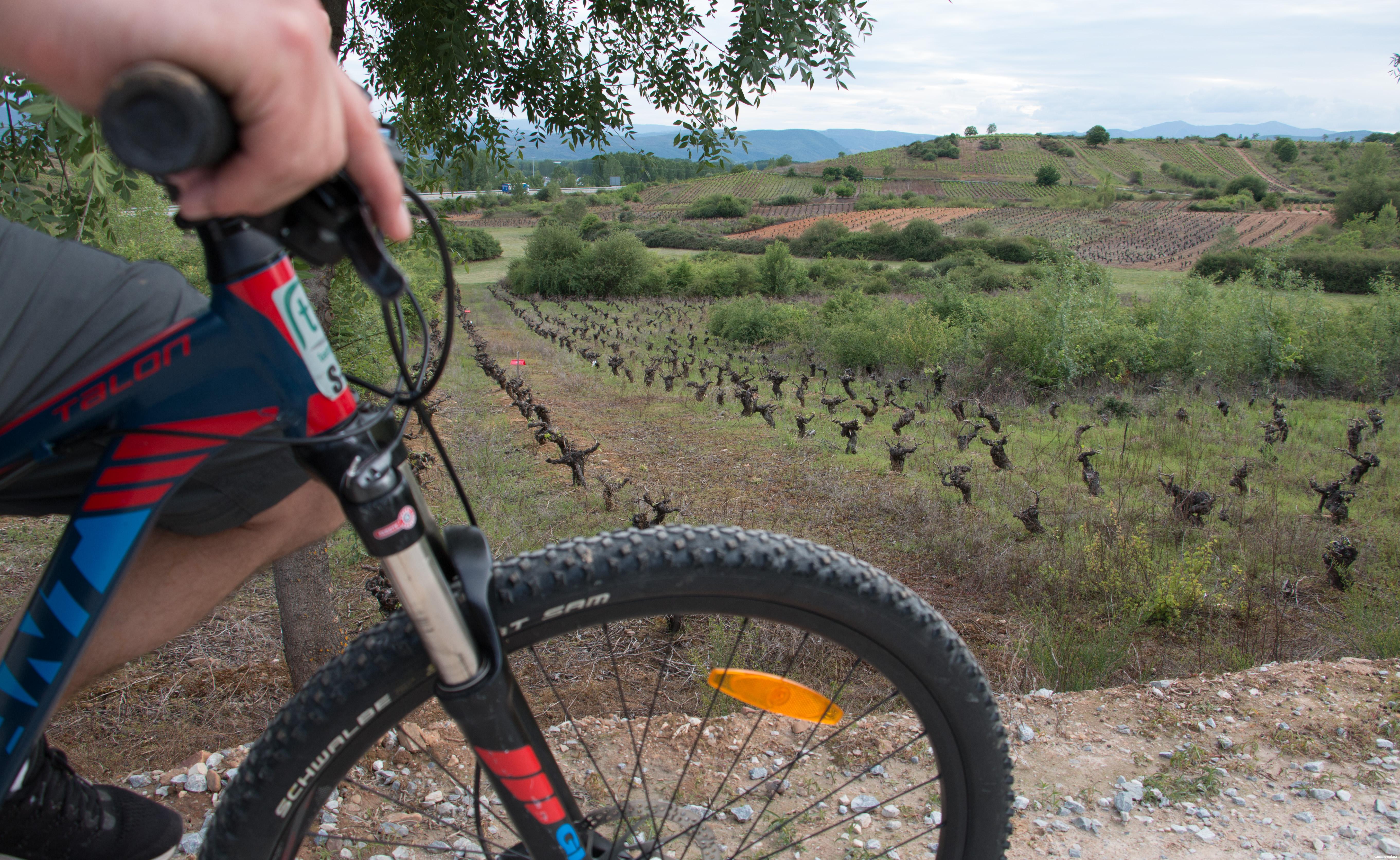 Camino de Santiago desde León- Pedalearás entre viñedos