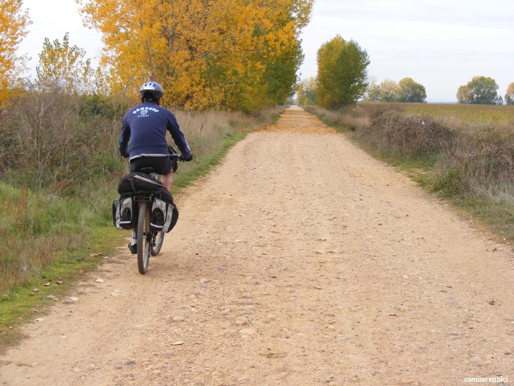 Nuestros destinos: Camino de Santiago