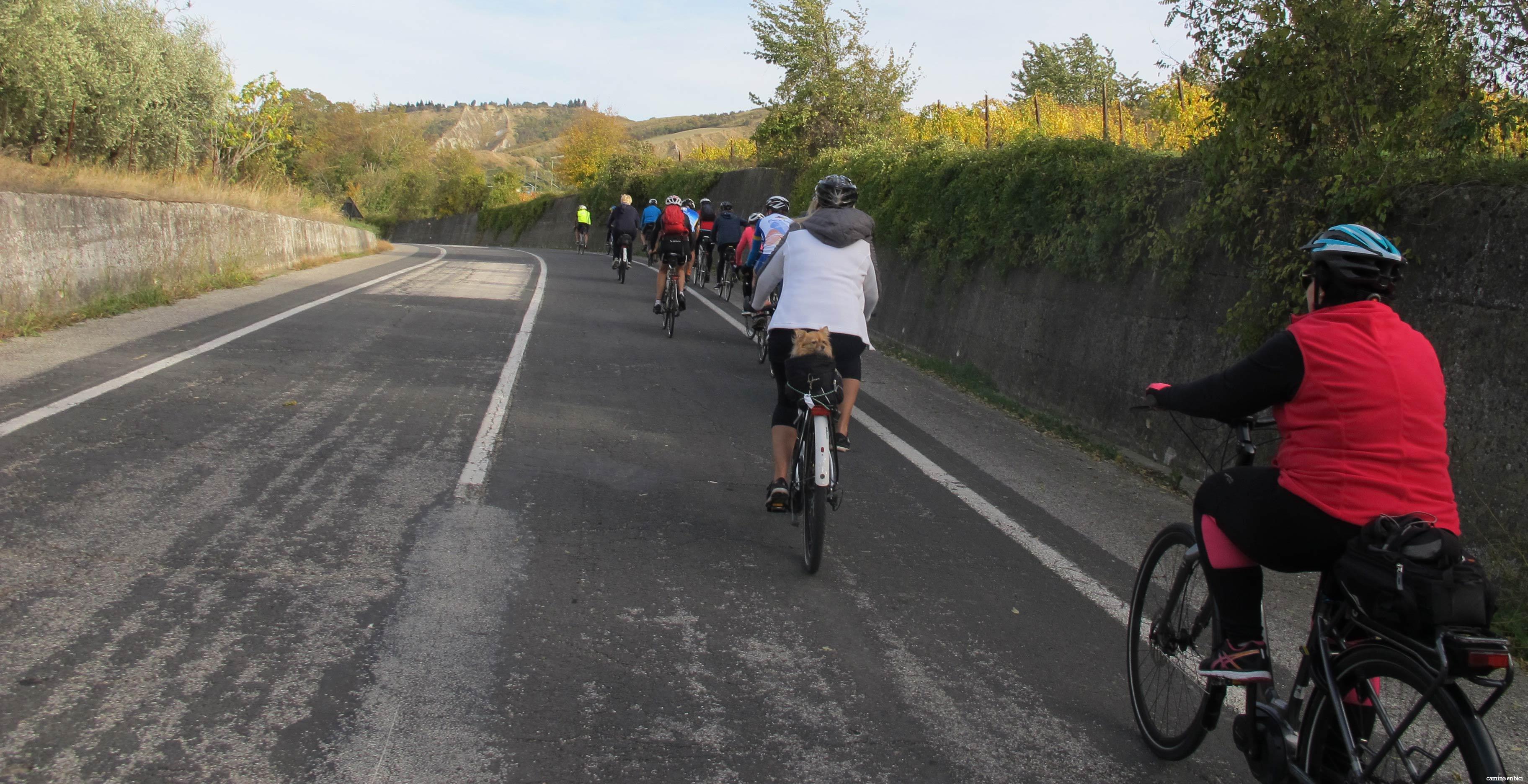 Camino de Santiago en e-bike: grupo en e-bike y MTB