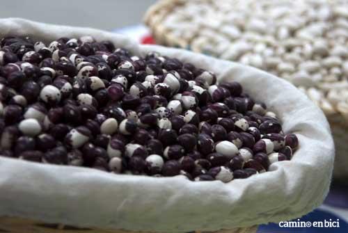 Gastronomía en el Camino Francés - Alubias