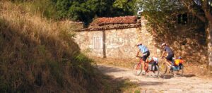 Qué ver durante el Camino de Santiago desde León