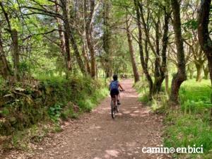 flecha camino- preparación física Camino de Santiago