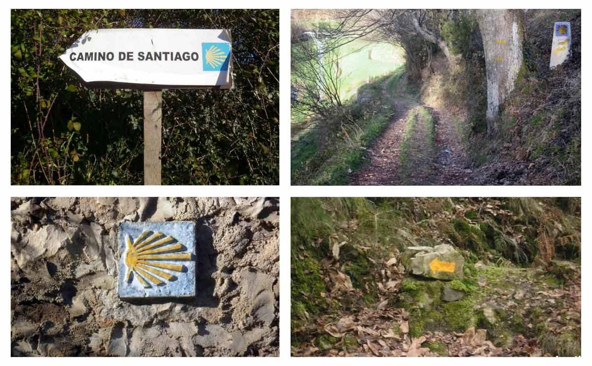 hacer el camino primitivo en bicicleta