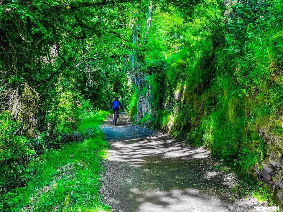 Etapa O Cebreiro-Sarria - Camino de Santiago en bici