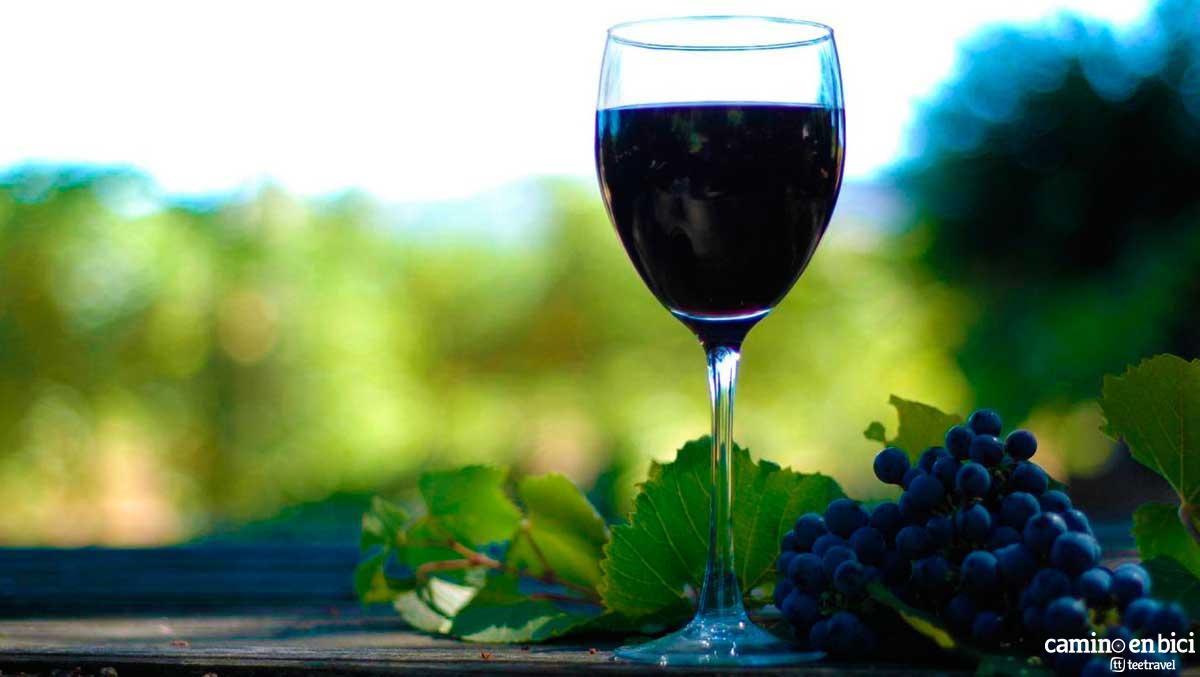 Camino Fracés - Denominación de Origen Rioja