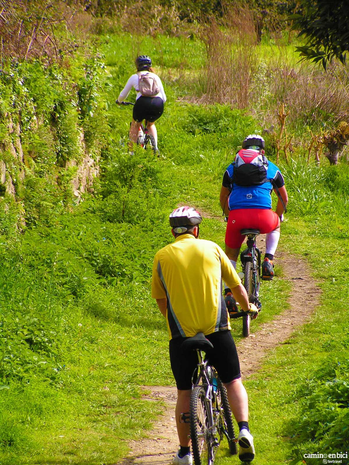 Camino de Santiago Portugués Central - Rebordáns