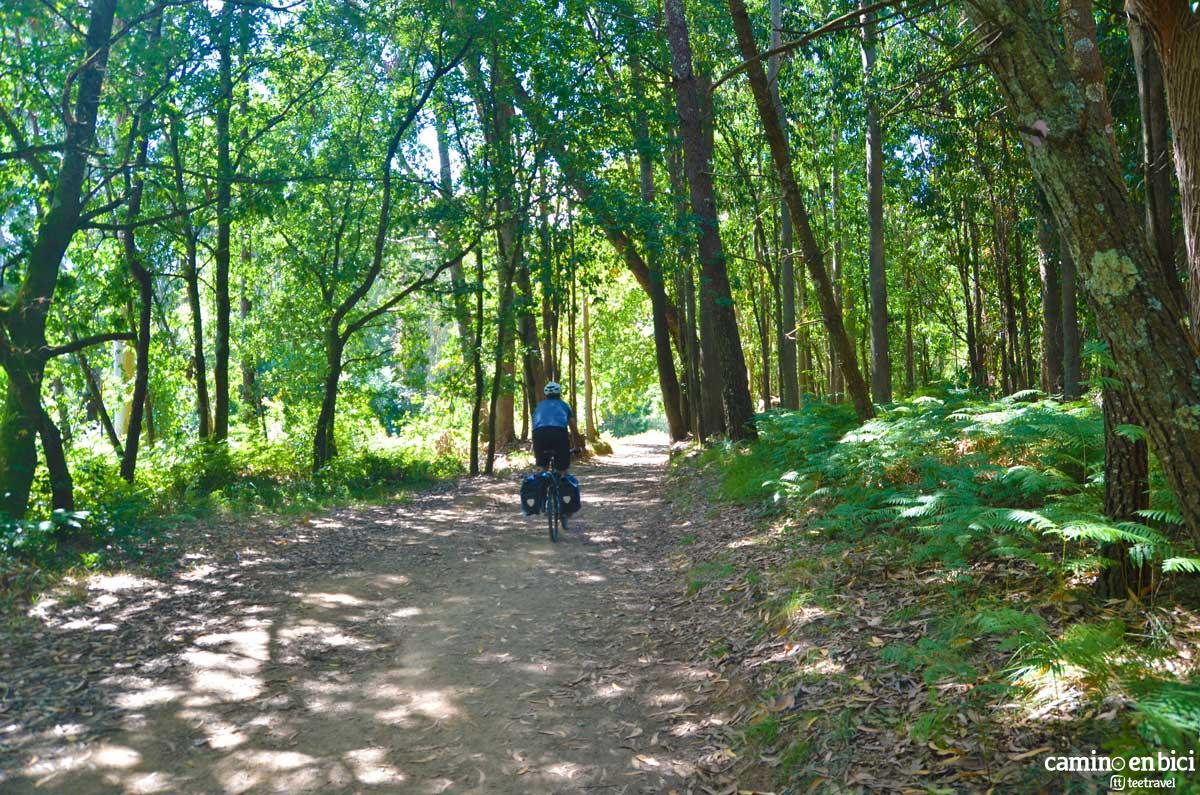 Camino Francés en Bicicleta