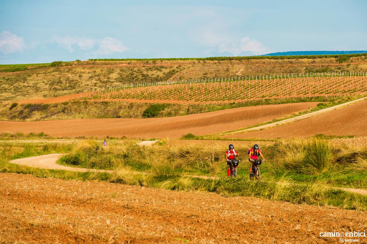 Camino de Santiago Francés